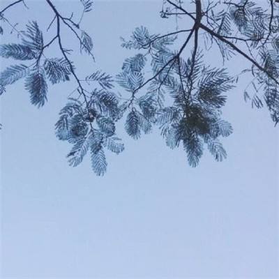 游戏王决斗学院手游(暂未上线)v1.1 安卓最新版